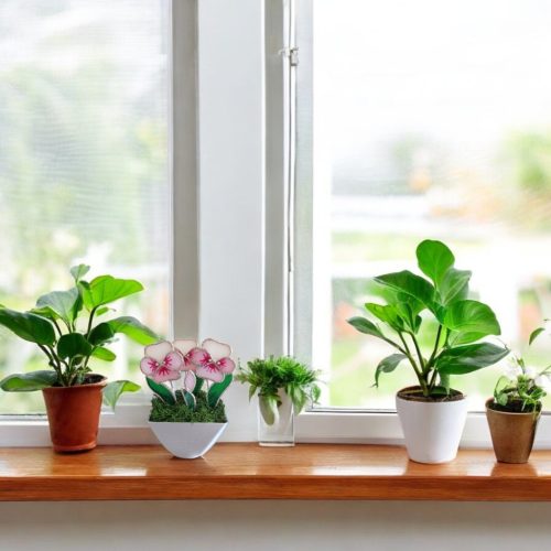 Árvácska kaspóban örökvirág dekoráció - Rózsaszín