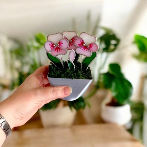 Üveg lakásdekoráció - Árvácska kaspóban örökvirág