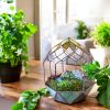 Trendi otthoni dekoráció - Nyitott florárium üveg – Botanic