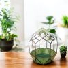 Geometrikus florárium üveg - Botanic - Egyedi lakásdekoráció modern otthonokba
