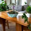 Ültess orchideát a floráriumba - Geometrikus florárium üveg – Botanic