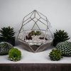 Virágtartó florárium üveg - Diamond - Stílusos üveg lakásdísz