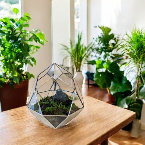 Növényimádók álomajándéke - Saját florárium üveg