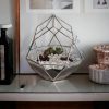 Geometrikus formájú üveg florárium - Diamond - Kézműves ajándék ötlet