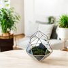 Kreatív lakásdekoráció - Geometrikus florárium üvegből – Diamond