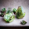 Geometrikus formájú üveg florárium - Florance - Exkluzív ajándék ötlet