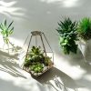 Trendi otthoni virágdekoráció - Geometrikus florárium üveg – Florance