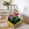 Geometrikus florárium üveg - Florance - Sárga, árvácskával