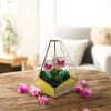 Stílusos üveg lakásdísz - Geometrikus florárium – Florance