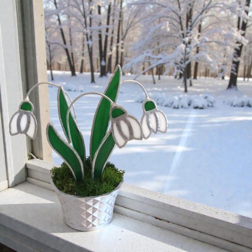 Hóvirág kaspóban örökvirág dekoráció