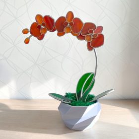 Orchidea üveg örökvirág - Narancs