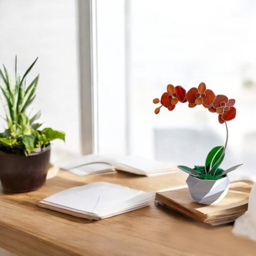Soha el nem hervadó orchidea - Az asztalod ékessége