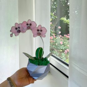 Üveg örökvirág lakásdekoráció - Rózsaszín orchidea virág kaspóban