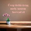 Üveg orchidea örökvirág, mely sosem hervad el