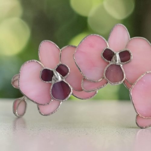 Orchidea üveg örökvirág - Rózsaszín