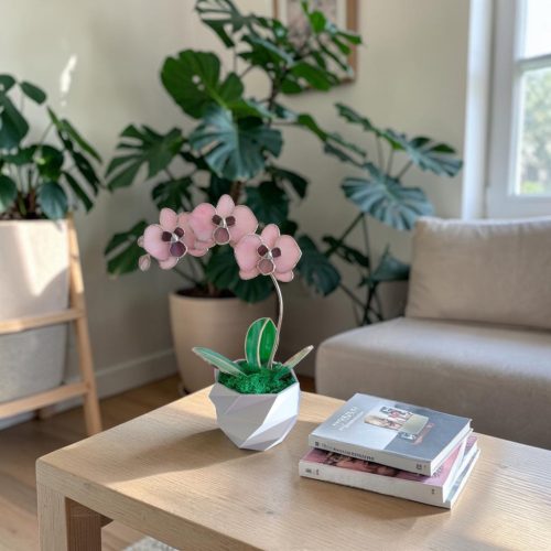 Orchidea üveg örökvirág - Rózsaszín