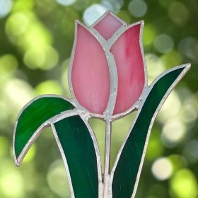 Tulipán szál üveg örökvirág - Rózsaszín