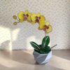 Elegáns üveg virágdekor - Örökké virágzó sárga orchidea