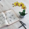 Orchidea üveg örökvirág - Sárga
