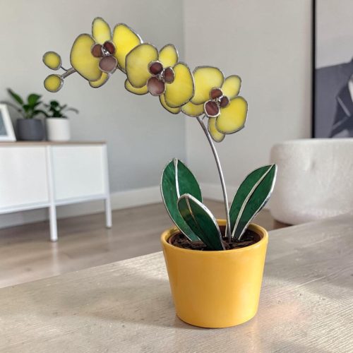 Üveg örökvirág lakásdekoráció - Sárga orchidea virág kaspóban