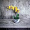 Sárga üveg orchidea örökvirág - Különleges ajándékötlet