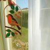 Vörösbegy Üvegfestő DIY alkotócsomag
