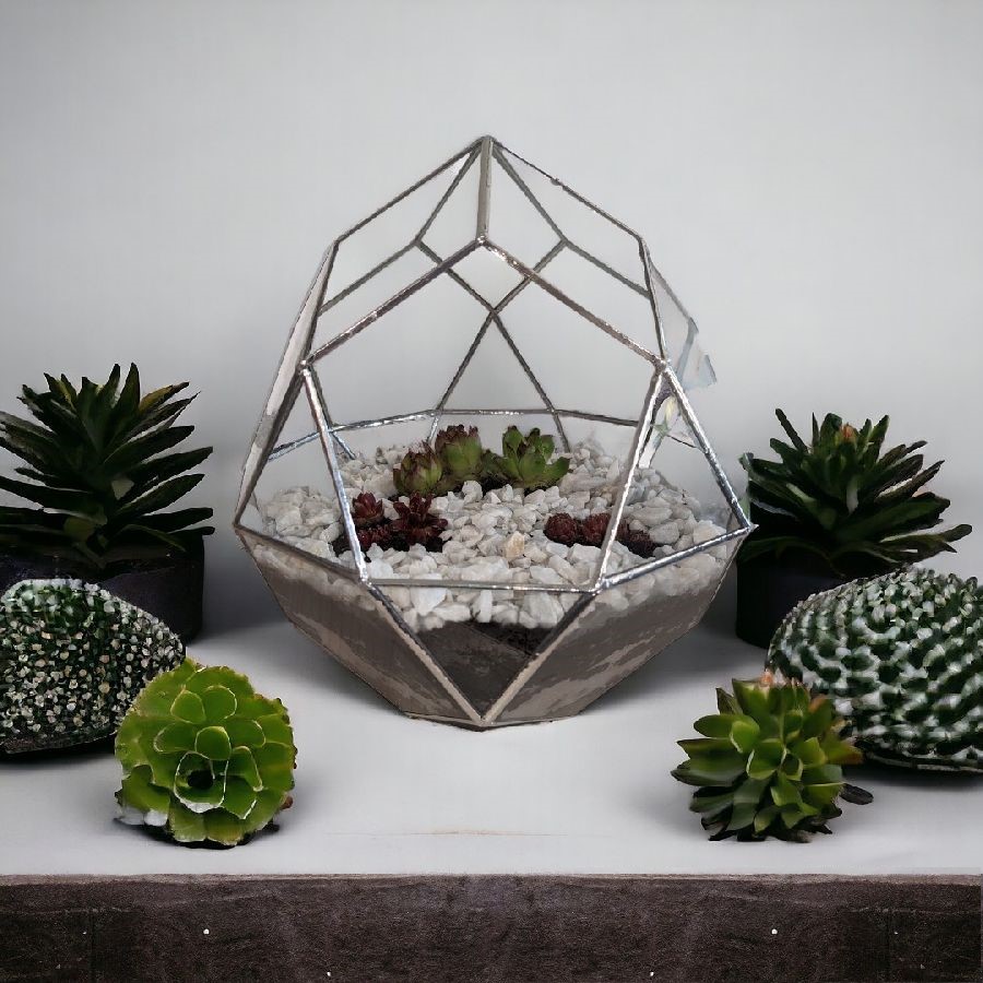 Geometrikus üvegház, florárium