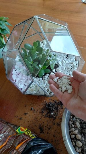 geometrikus-uveg-florarium-diemond-beultetve.jpg