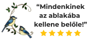 Kékszajkó üveg ablakdekoráció vélemény