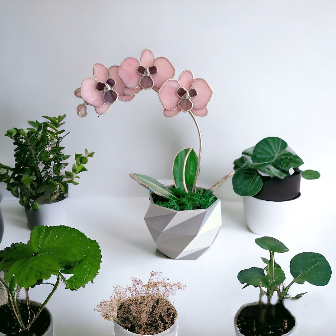 Rózsaszín gondozásmentes üveg orchidea
